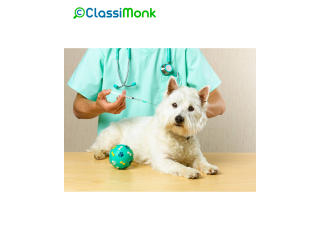 Animal and Pets Healthcare in Stockport