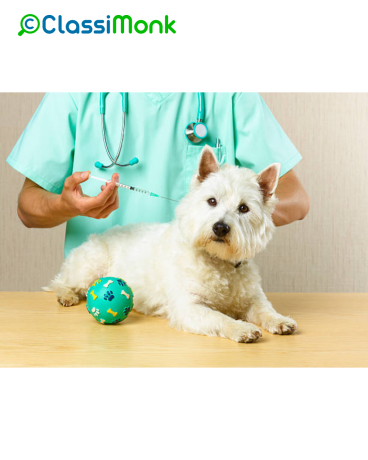 animal-and-pets-healthcare-in-stockport-big-0