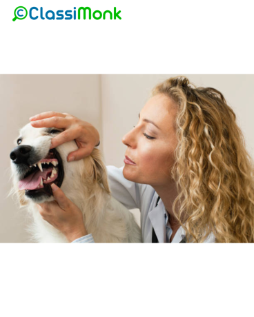 expert-veterinary-care-for-your-furry-friends-in-watford-england-big-0