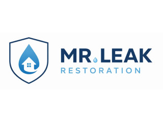 Fast Emergency Water Damage Restoration Services | Mr. Leak - Water Damage Restoration