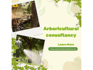 Professional Arboricultural Consultancy & Tree Care Services