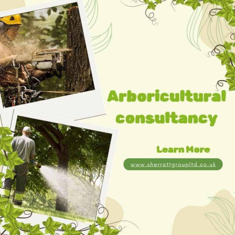 professional-arboricultural-consultancy-tree-care-services-big-0